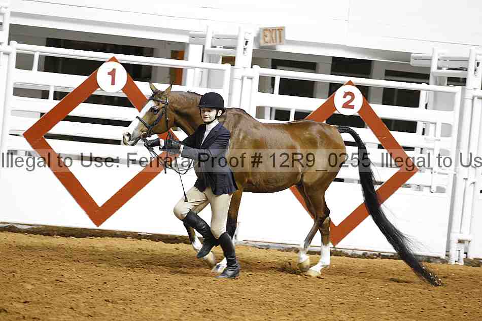 Proof 12r9_0255