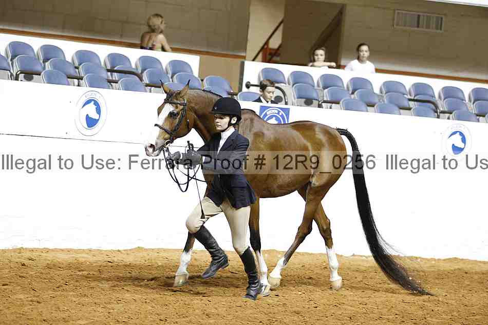 Proof 12r9_0256