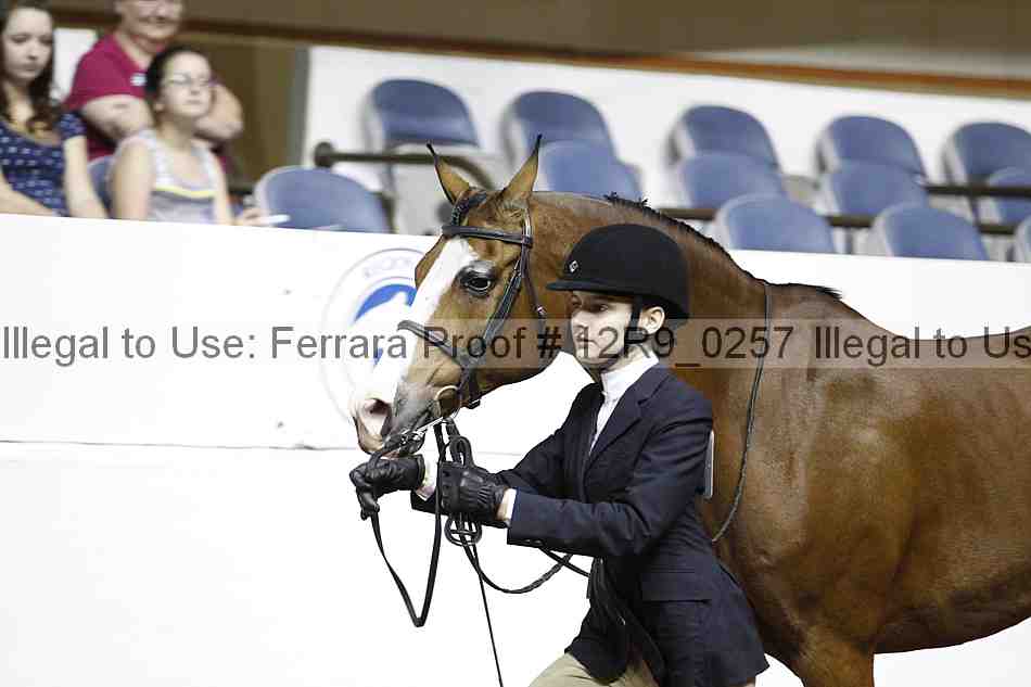 Proof 12r9_0257