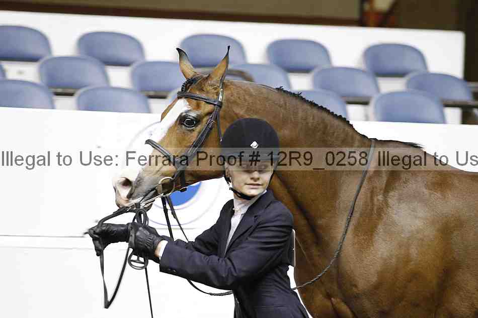 Proof 12r9_0258
