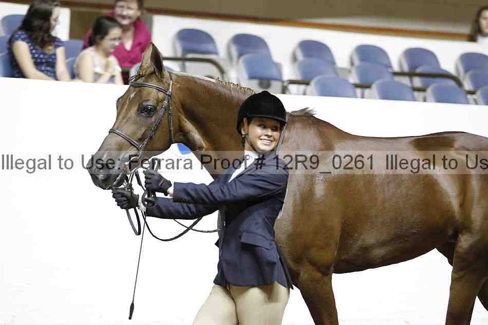Proof 12r9_0261