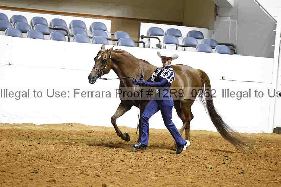 Proof 12r9_0262