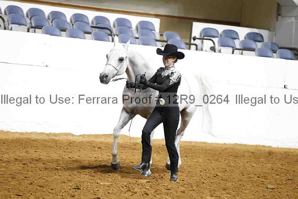 Proof 12r9_0264