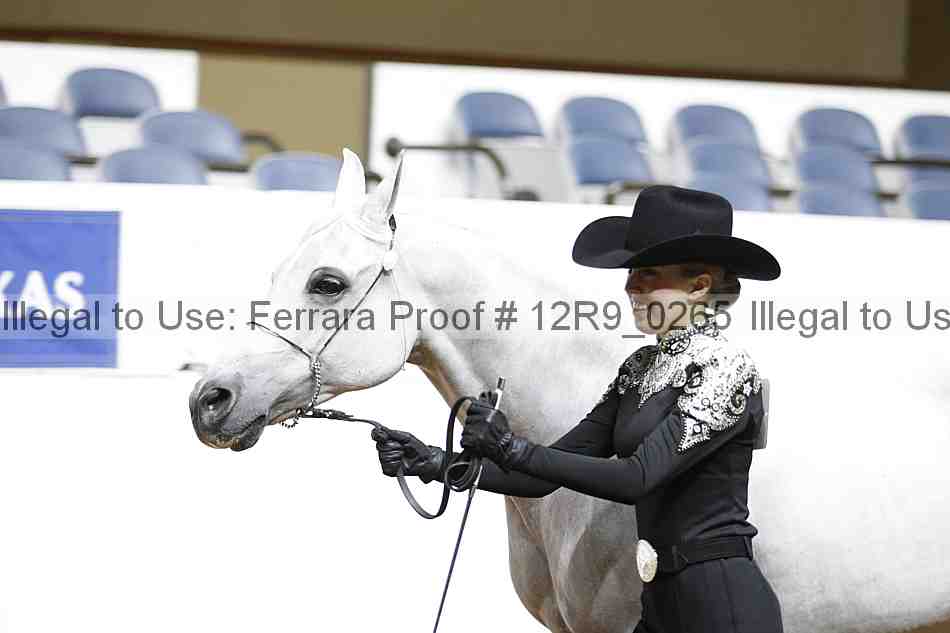 Proof 12r9_0265