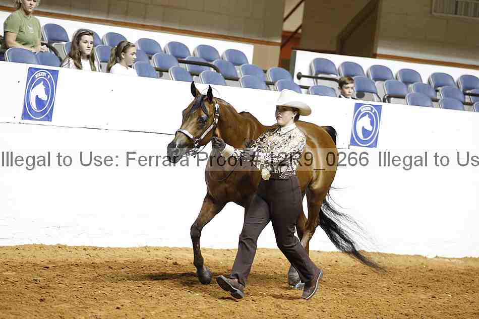 Proof 12r9_0266