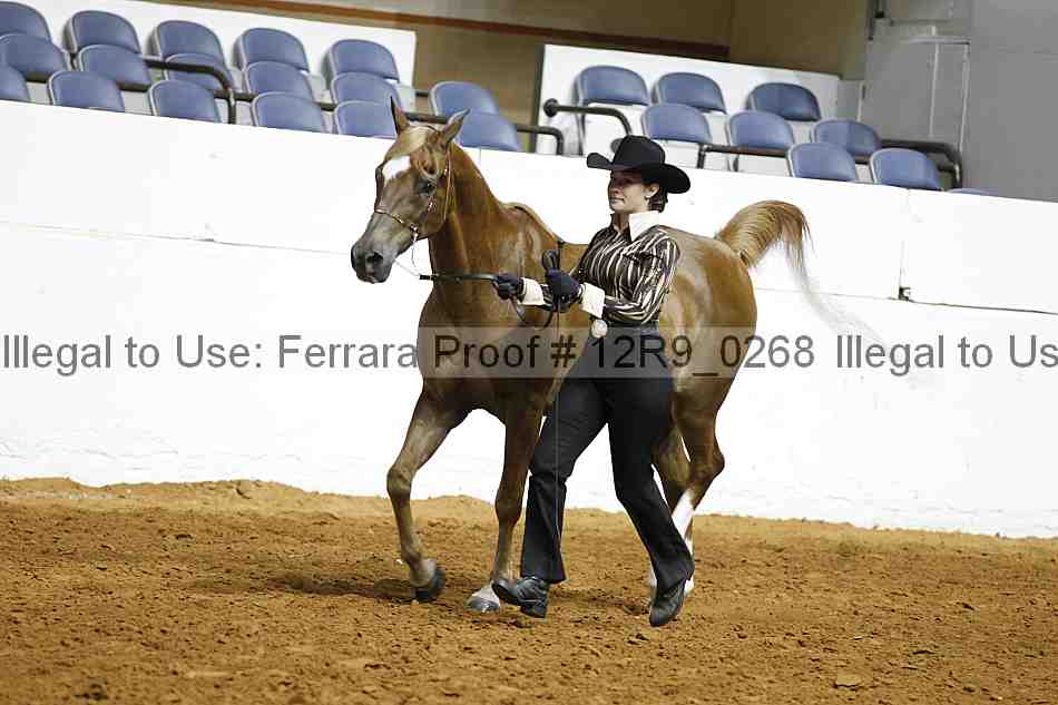 Proof 12r9_0268
