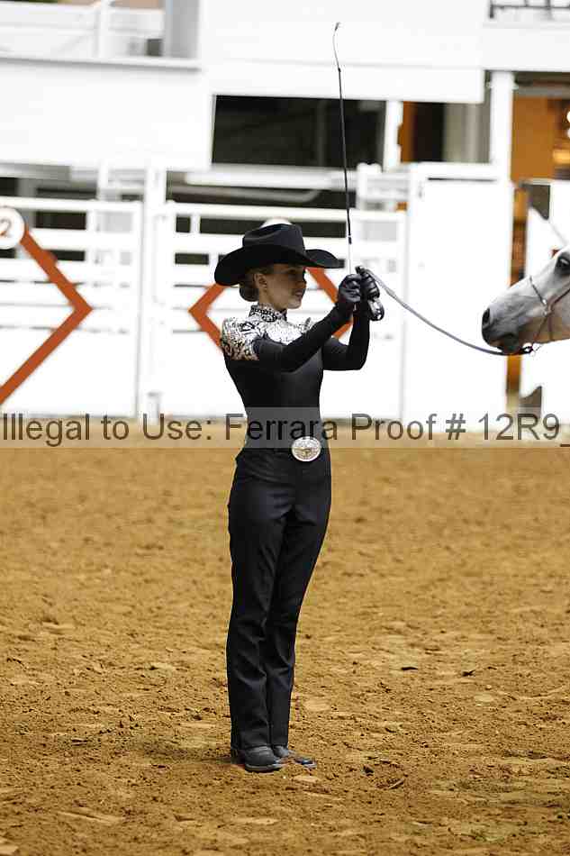 Proof 12r9_0276