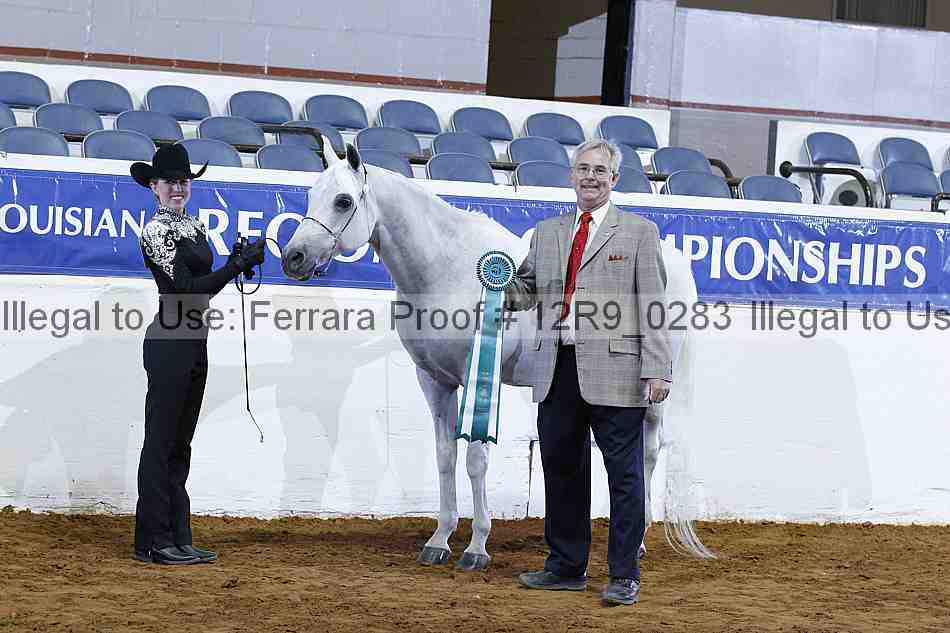 Proof 12r9_0283