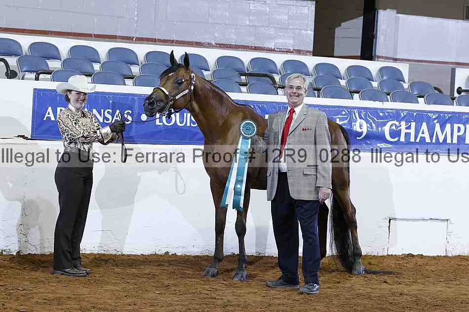 Proof 12r9_0288