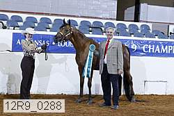 12r9_0288 proof