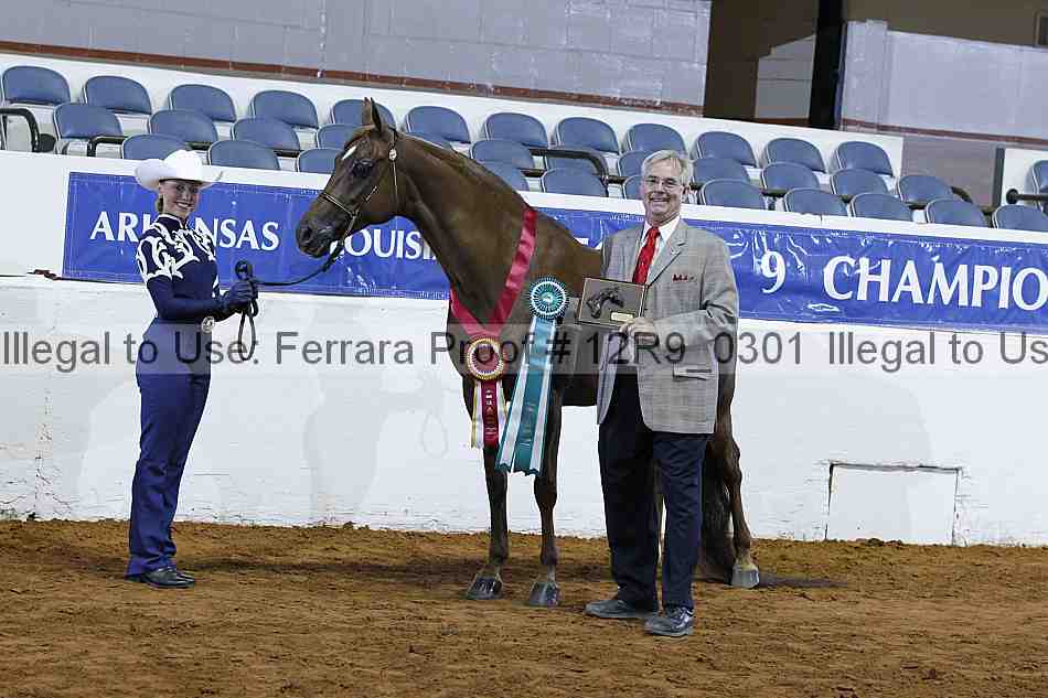 Proof 12r9_0301