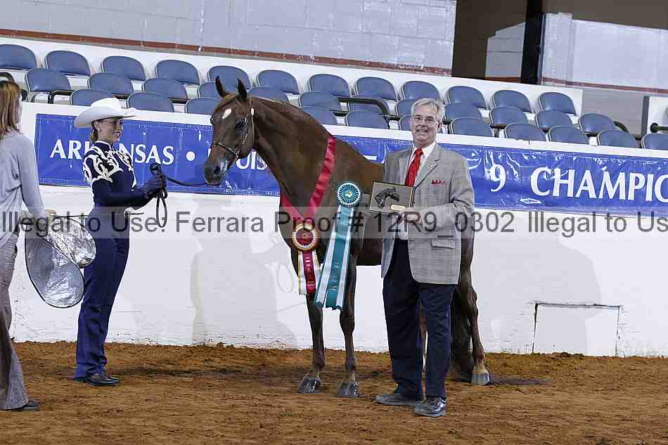 Proof 12r9_0302