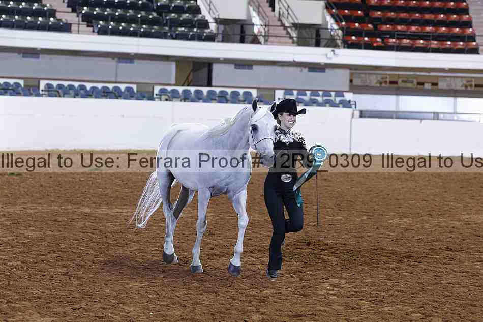 Proof 12r9_0309