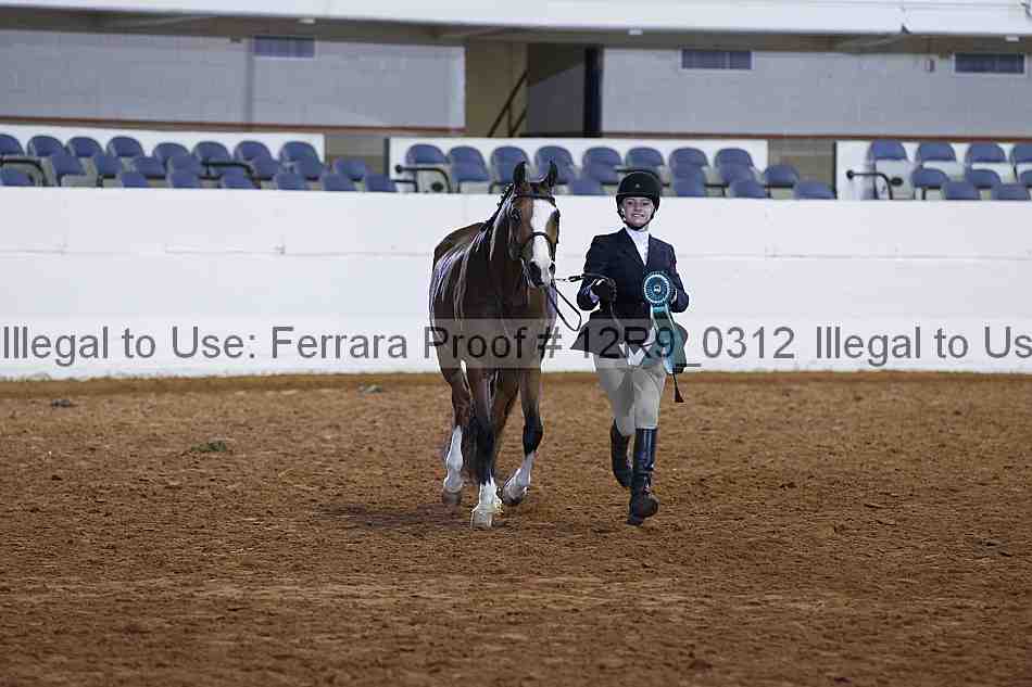 Proof 12r9_0312
