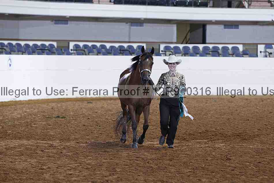 Proof 12r9_0316