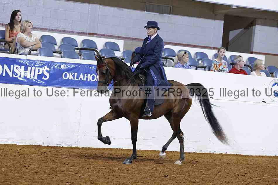Proof 12r9_0325