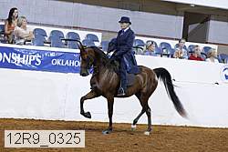 12r9_0325 proof