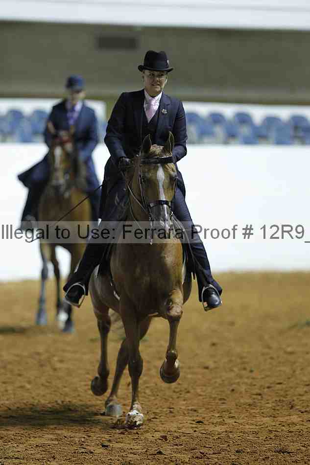 Proof 12r9_0335