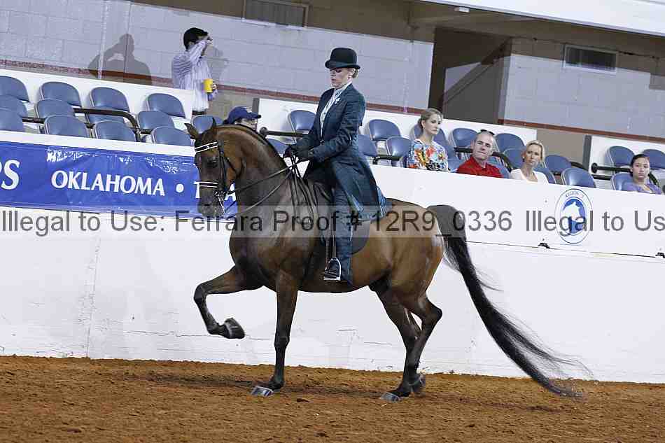 Proof 12r9_0336
