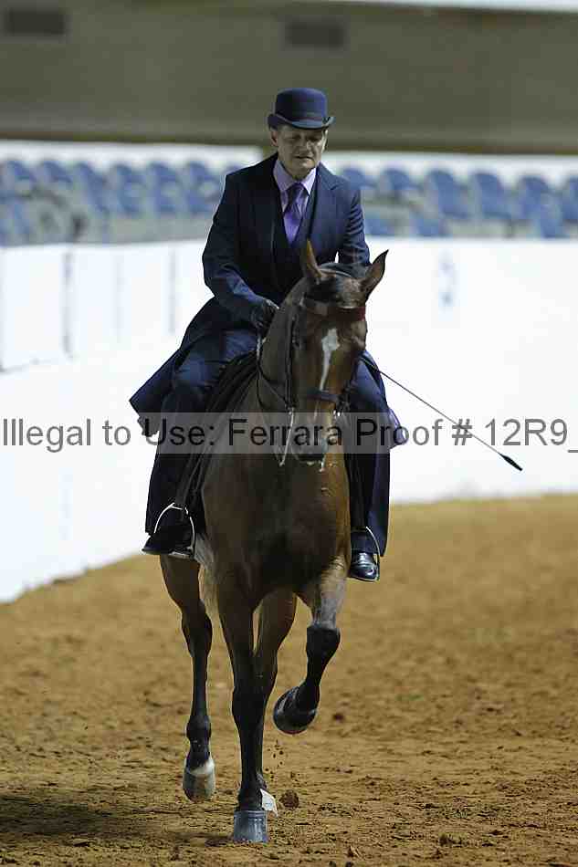 Proof 12r9_0338