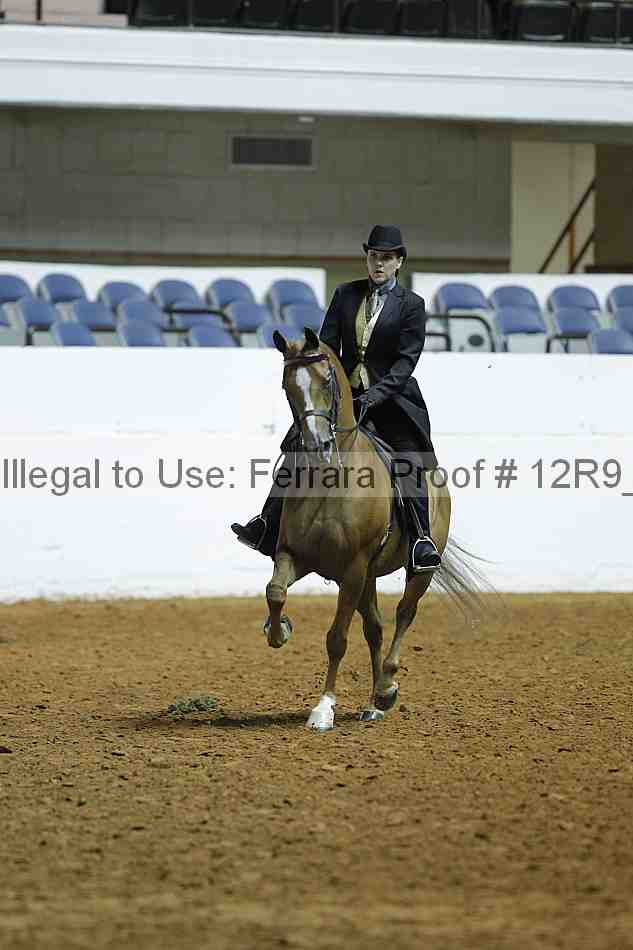 Proof 12r9_0340