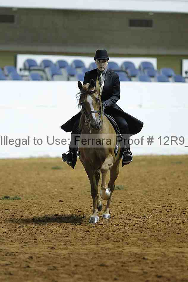 Proof 12r9_0342