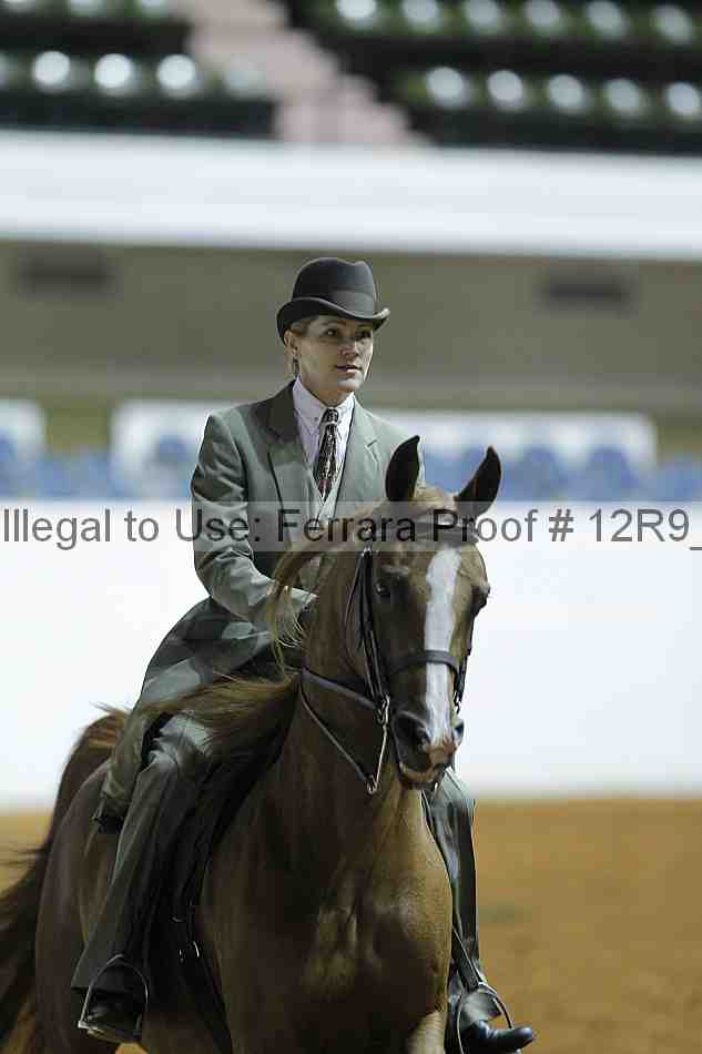 Proof 12r9_0348