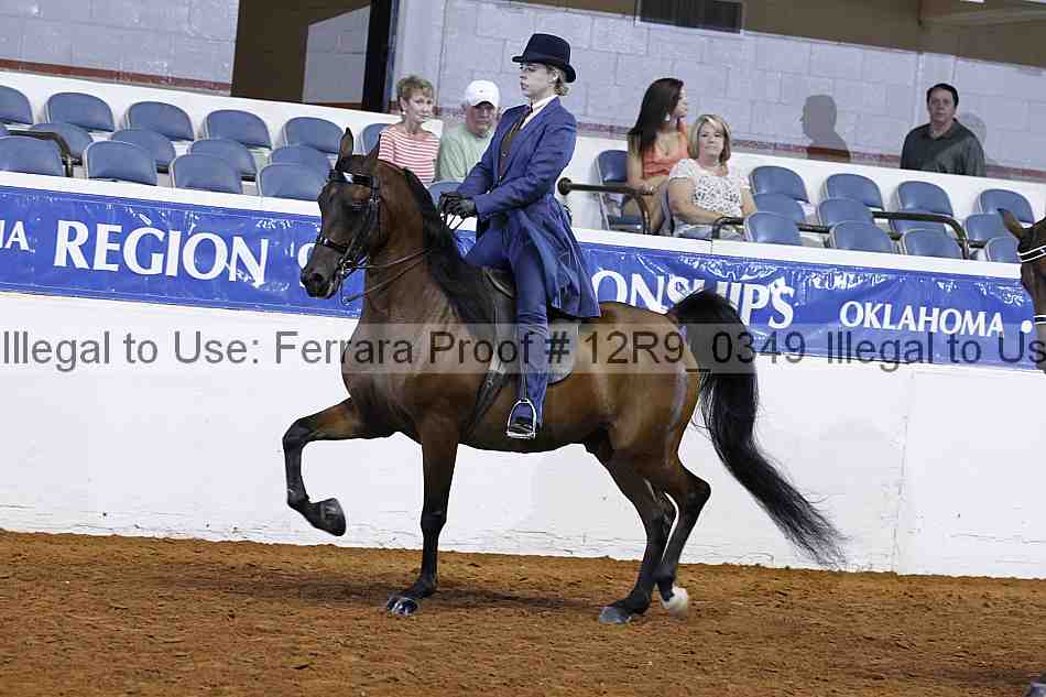 Proof 12r9_0349