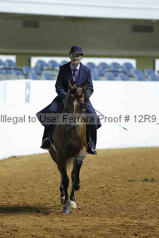 Proof 12r9_0351