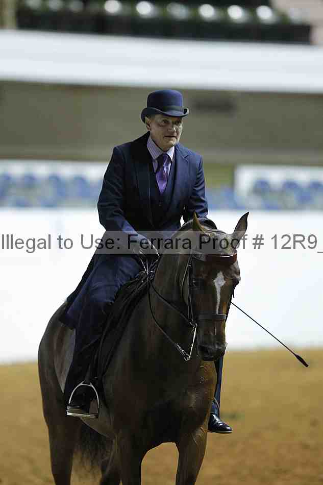 Proof 12r9_0353
