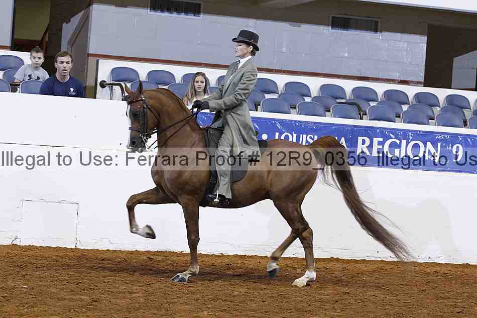 Proof 12r9_0356
