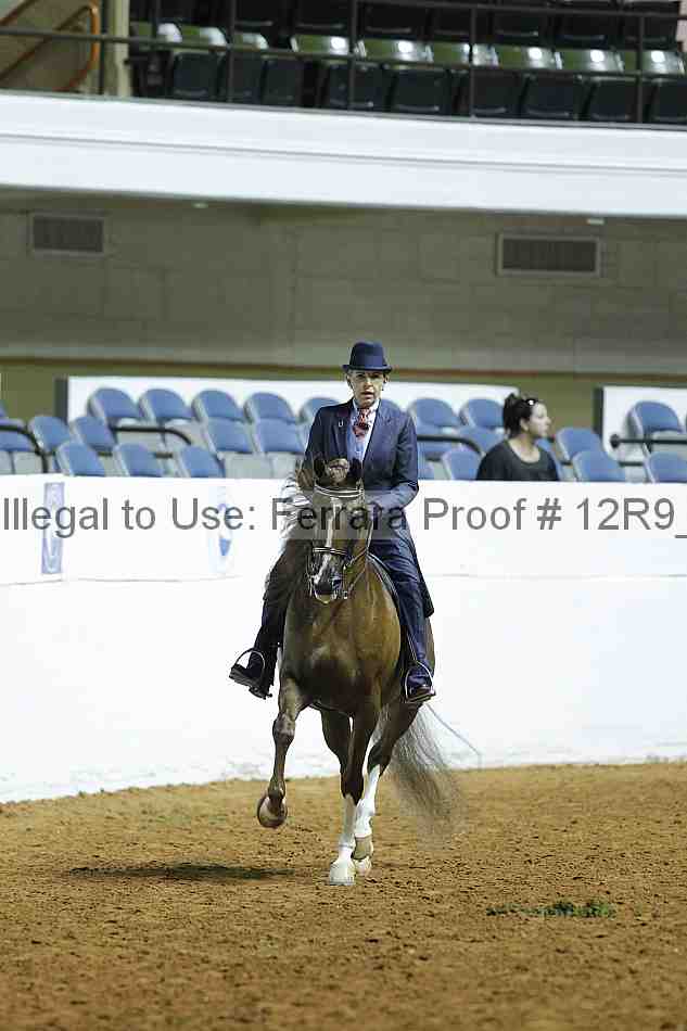 Proof 12r9_0365