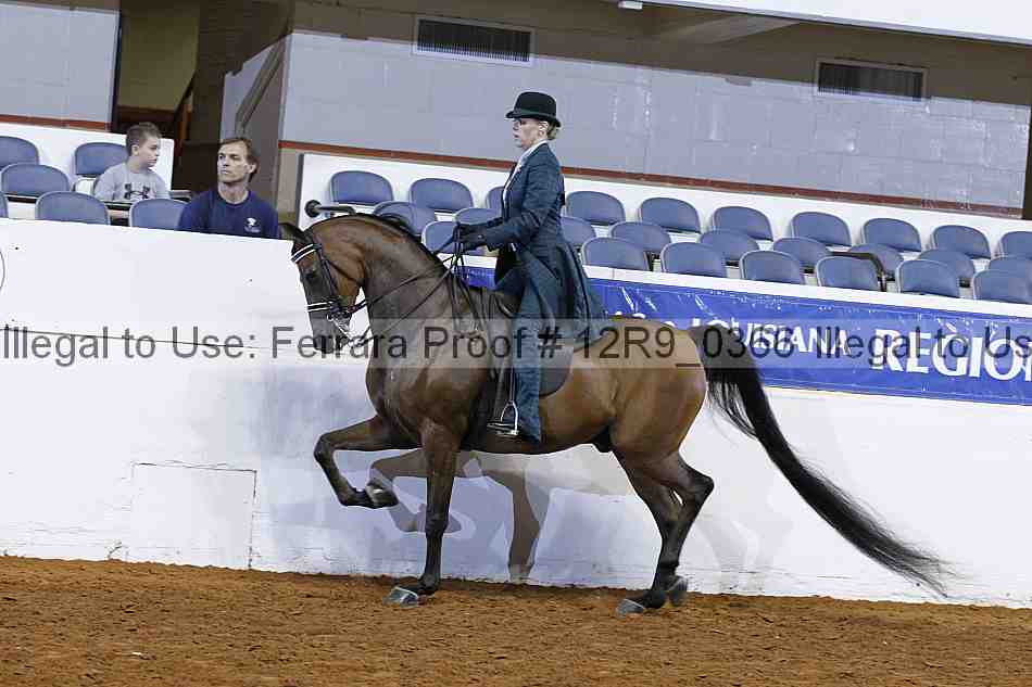 Proof 12r9_0366