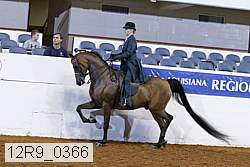 12r9_0366 proof