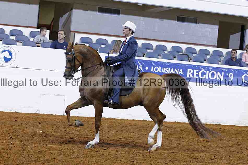 Proof 12r9_0367