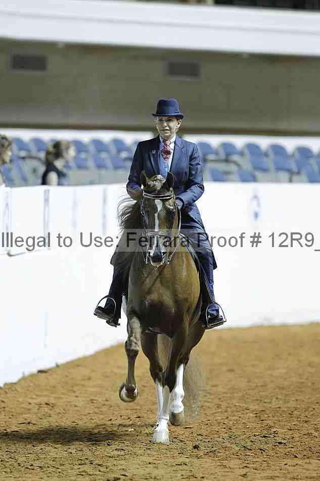 Proof 12r9_0368