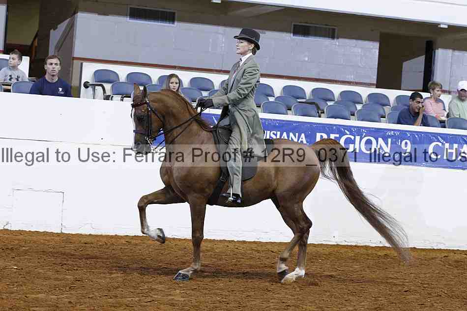 Proof 12r9_0371