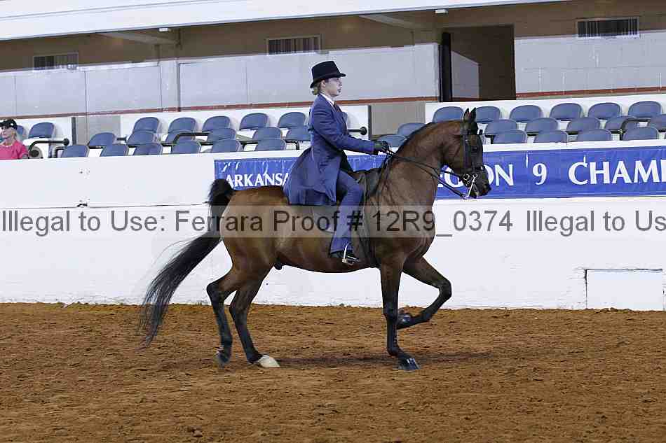 Proof 12r9_0374