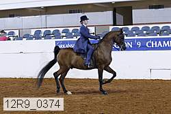 12r9_0374 proof