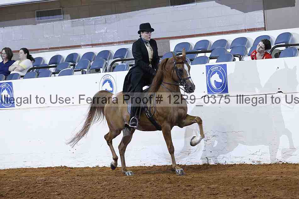 Proof 12r9_0375