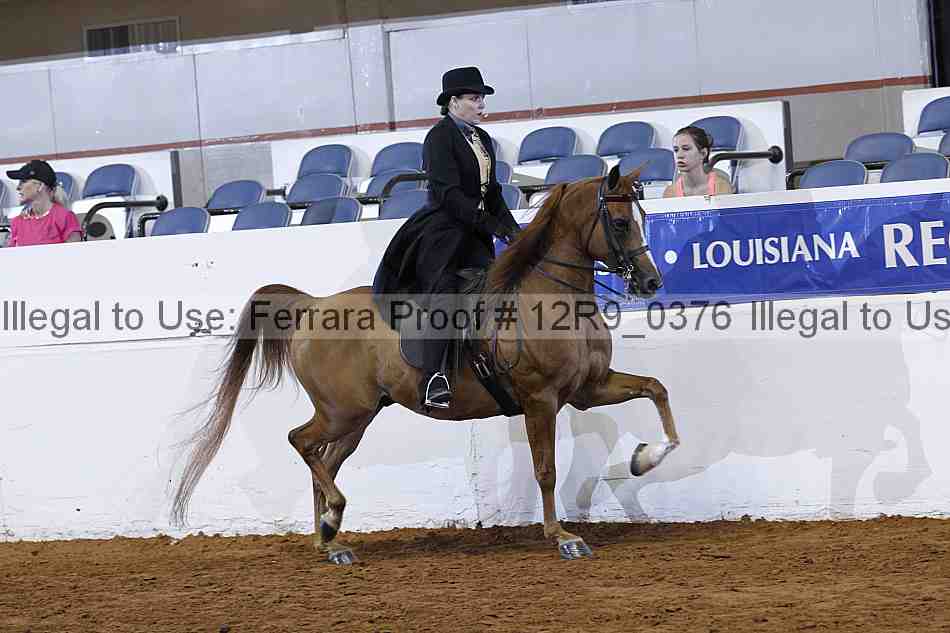 Proof 12r9_0376