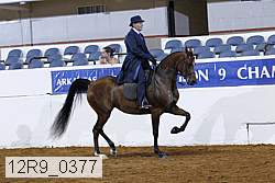 12r9_0377 proof