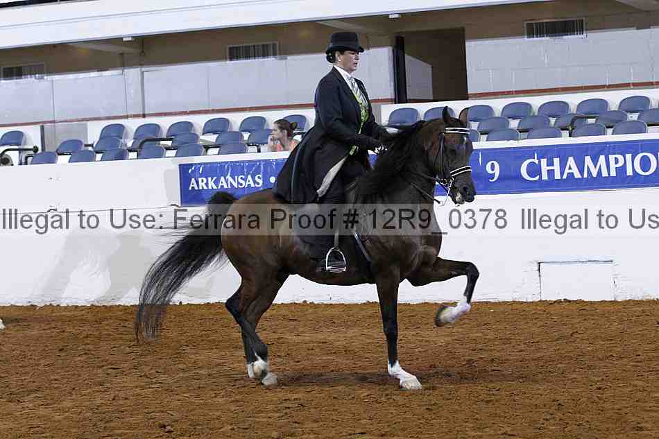 Proof 12r9_0378