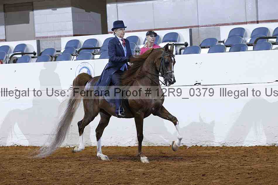 Proof 12r9_0379