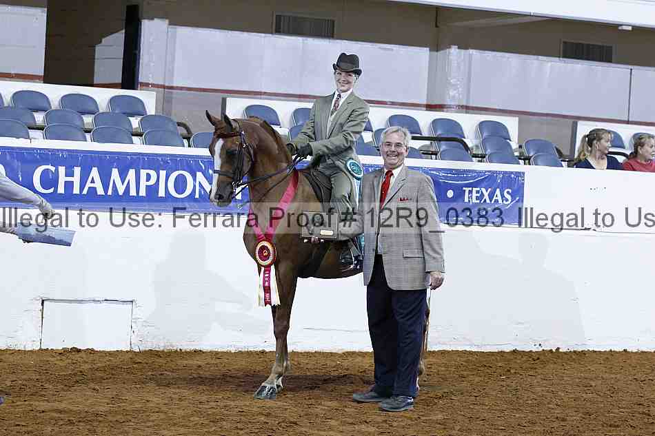 Proof 12r9_0383