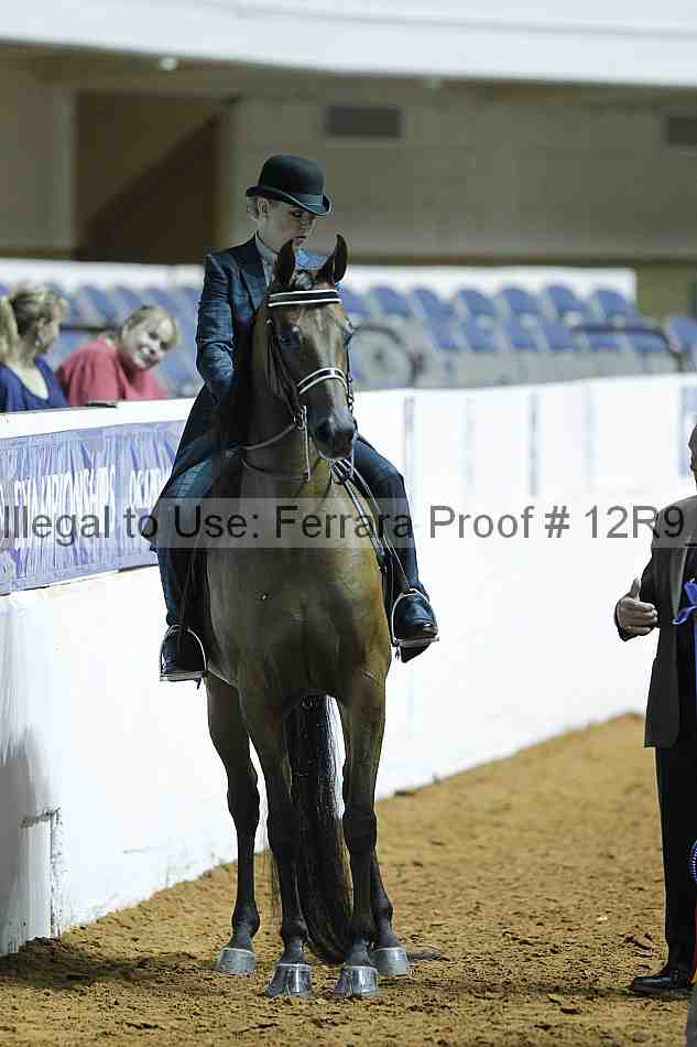 Proof 12r9_0388