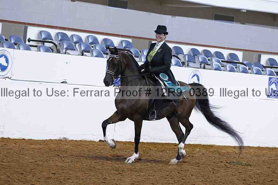 Proof 12r9_0389