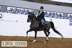 12r9_0389 proof