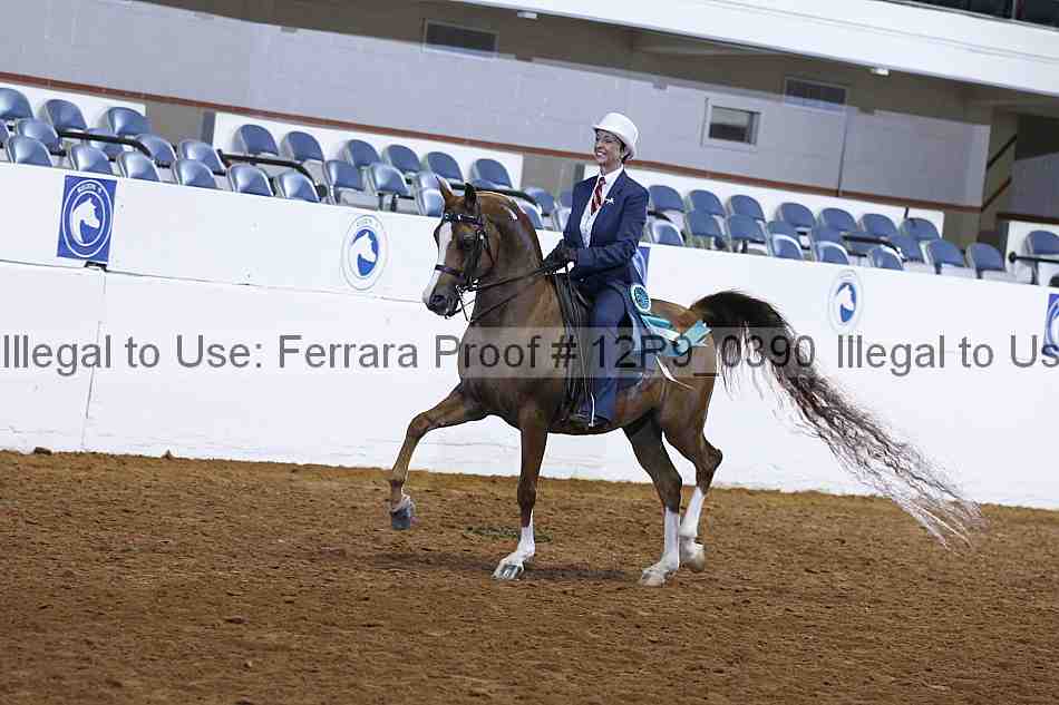 Proof 12r9_0390