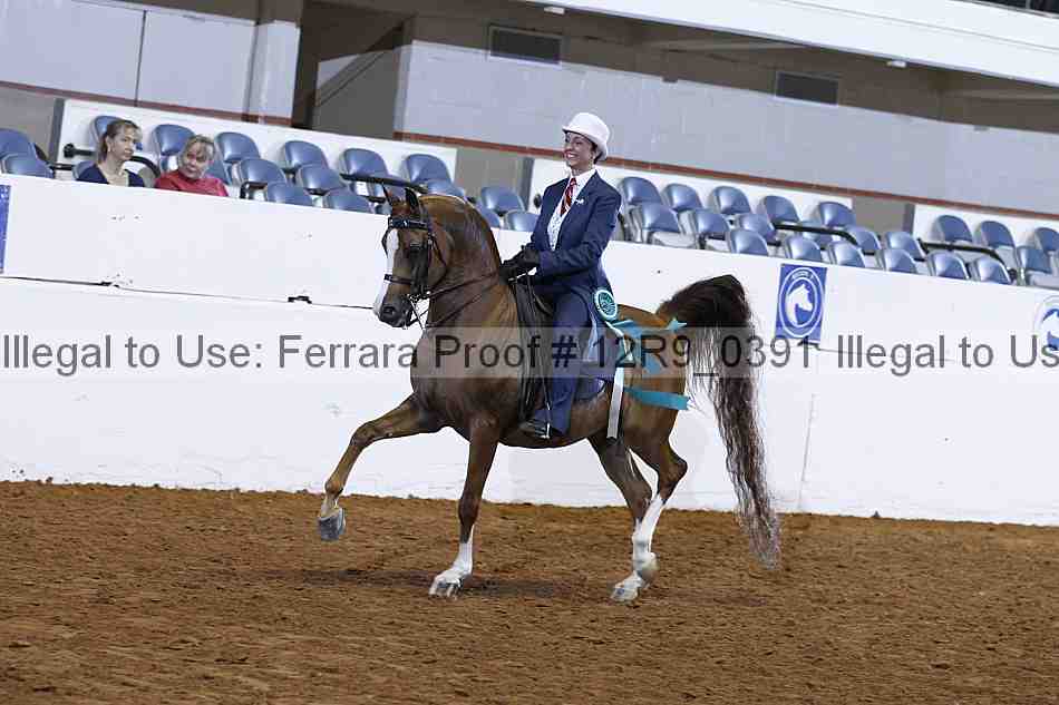 Proof 12r9_0391